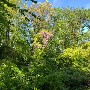 Meet your Posher, Maggie